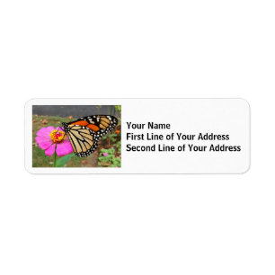 Étiquette Le papillon Monarque sirote une Zinnia rose