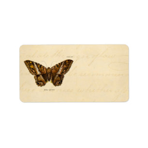 Étiquette Les 1800s vintages brunissent le papillon brouill