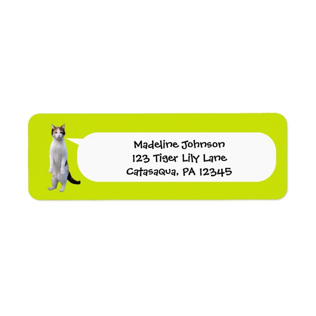 Étiquette Lime Green Funny Standing Cat Photo Retour Adresse (Devant)