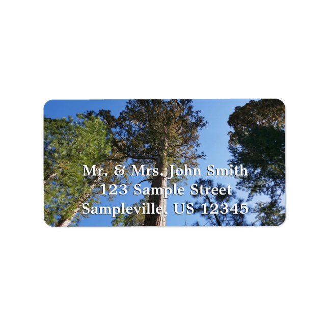 Étiquette Looking Up at Mariposa Grove (Devant)