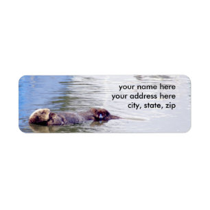 Étiquette Loutre