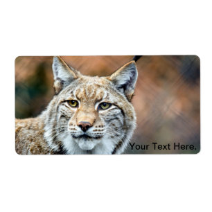 Étiquette Lynx Bobcat Wildlife