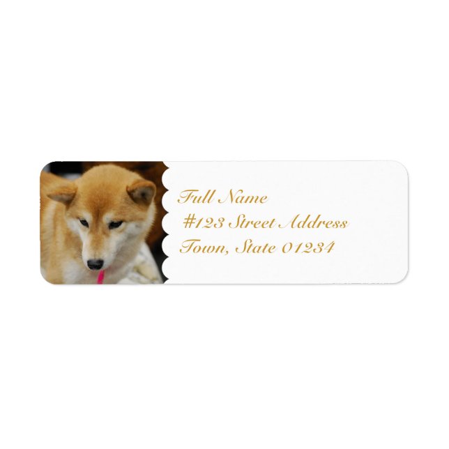 Étiquette MailingLabel-5 - Customisé (Devant)