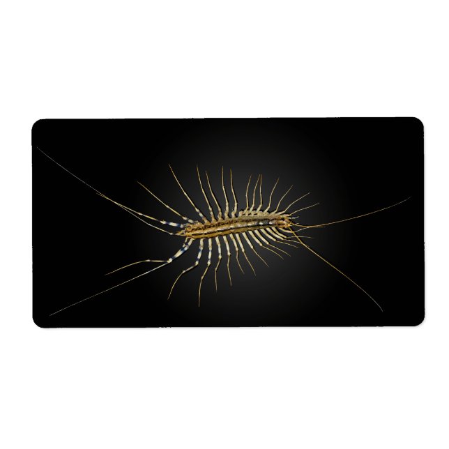 Étiquette Maison Centipede Scutigera Coleoptrata (Devant)