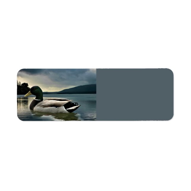 Étiquette Mallard Duck (Devant)