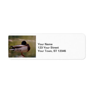 Étiquette Mallard Duck