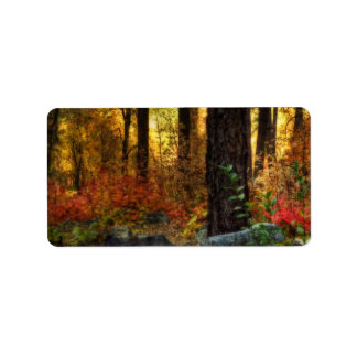 Étiquette Marche matinale