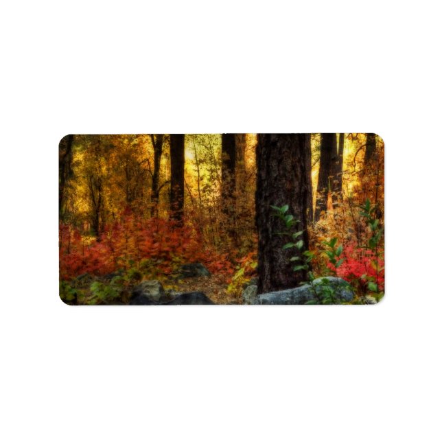 Étiquette Marche matinale (Devant)