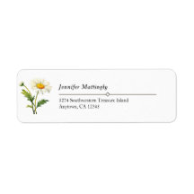 Marguerite de pays décontracté