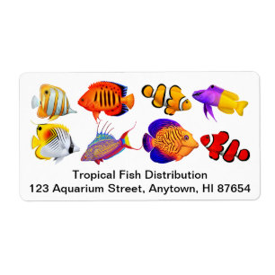 Étiquette marin de poissons d'aquarium d'eau de
