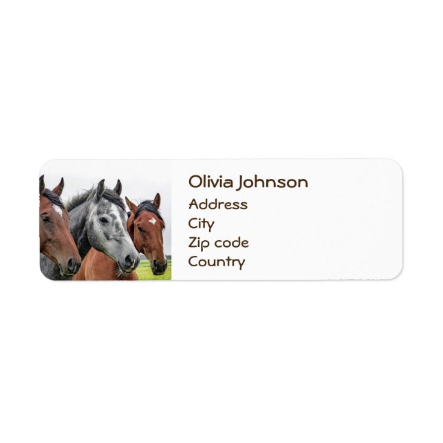 Étiquette Merveilleux Chevaux Stallion Photographie (Devant)