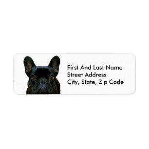 Étiquette Mignon Black French Bulldog Frenchie Photo :
