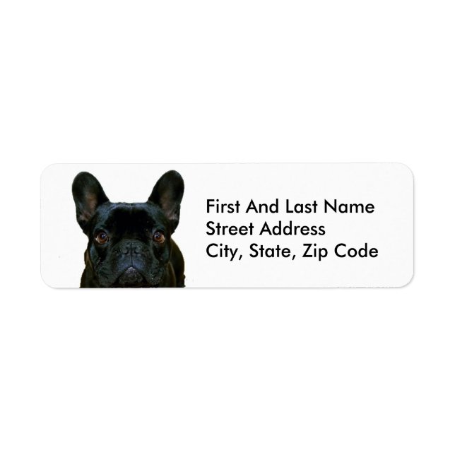 Étiquette Mignon Black French Bulldog Frenchie Photo : (Devant)