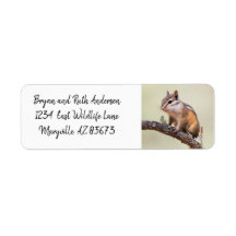 Mignonne chipmunk