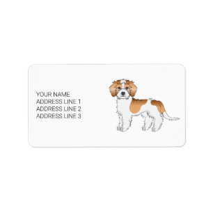 Étiquette Mini Goldendoodle couleur abricot et blanc