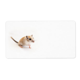 Étiquette Modèle animal de gerbilles d'animal familier de