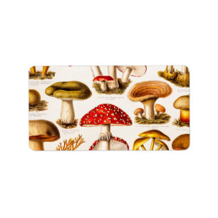 Étiquette Modèle vintage de variété de champignon de 1800