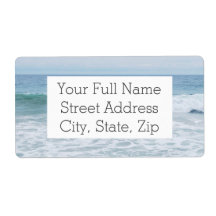 Mouette à la plage en Californie