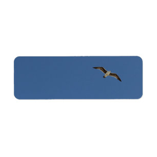Étiquette Mouette en vol