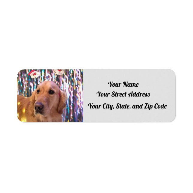 Étiquette Nova The Golden Retriever - Père Noël Paws - Adres (Devant)