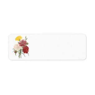 Étiquette Oeillets vintages Dianthus Garden Flowers Redoute