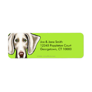 Étiquette Olive de chien de Weimaraner