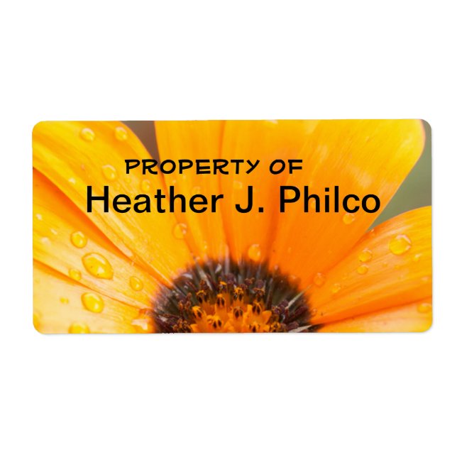 Étiquette Orange African Daisy Gros plan Photo (Devant)