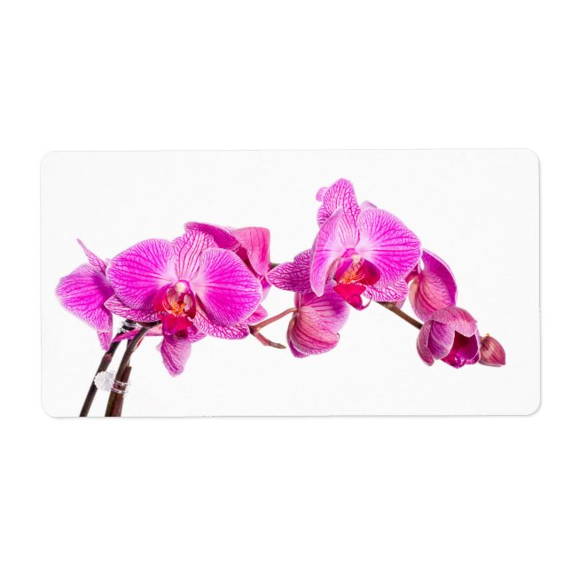 Étiquette Orchidée (Devant)