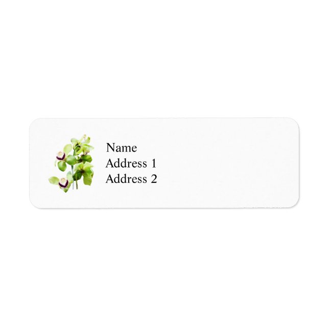 Étiquette Orchidées Cymbidium Vert (Devant)