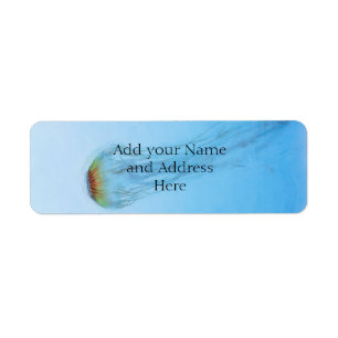 Étiquette Ortie de mer
