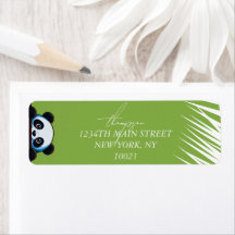 Ours Panda Mignon Feuilles Tropicales Adresse de R