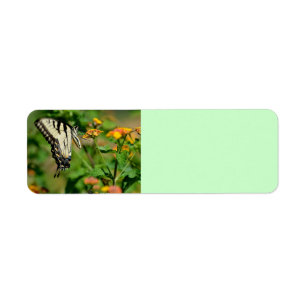 Étiquette Papillon de machaon