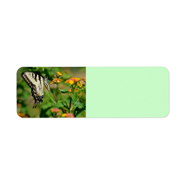 Étiquette Papillon Swallowtail (Devant)