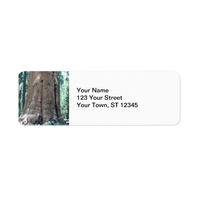 Étiquette Parc national de Sequoia (Devant)