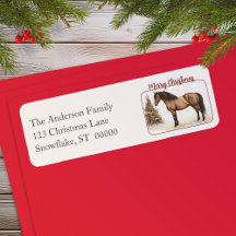 Paso Horse Joyeux Noël Aquarelle Retour