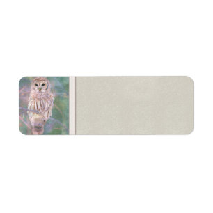 Étiquette Pastel Oilpainting de hibou barré