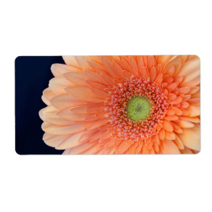 Étiquette Peach Gerbera
