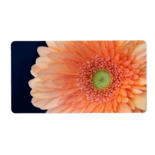 Étiquette Peach Gerbera (Devant)