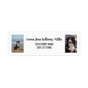 Étiquette Personnaliser 2 Photos avec Chien Moderne Adresse