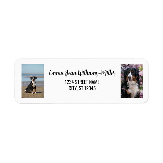 Étiquette Personnaliser 2 Photos avec Chien Moderne Adresse  (Devant)