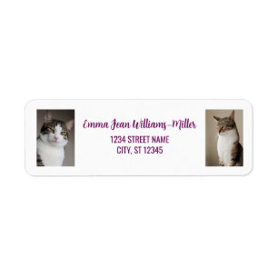 Étiquette Personnaliser les photos avec Cat Modern Adresse d