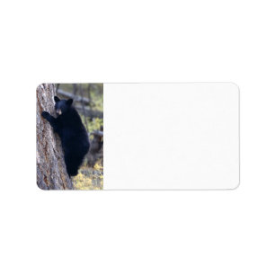 Étiquette petit animal d'ours noir