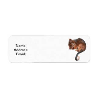 Étiquette Petit Bébé Singtail Possum