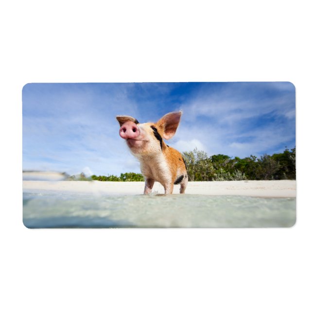 Étiquette Petite porcelet (Devant)