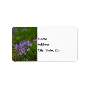 Étiquette Phlox Bleu Sauvage