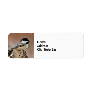 Étiquette Photo Black Capped Chickadee Snow