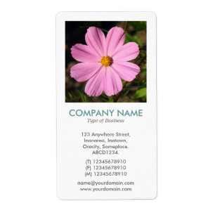 Étiquette Photo Carré V - Cosmos rose