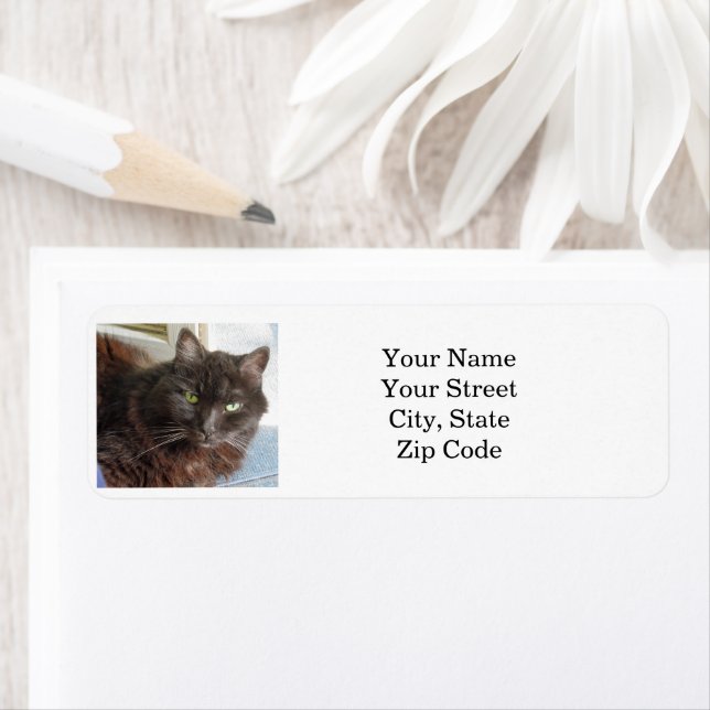Étiquette Photo Cat personnalisée (En situation)
