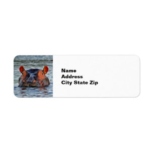 Étiquette Photo d'eau d'Hippo Faune