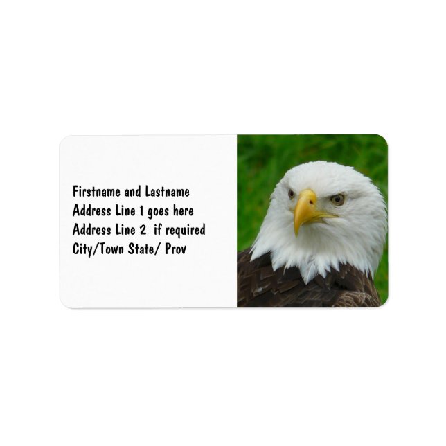 Étiquette Photographie d'oiseau sauvage - American Bald Eagl (Devant)